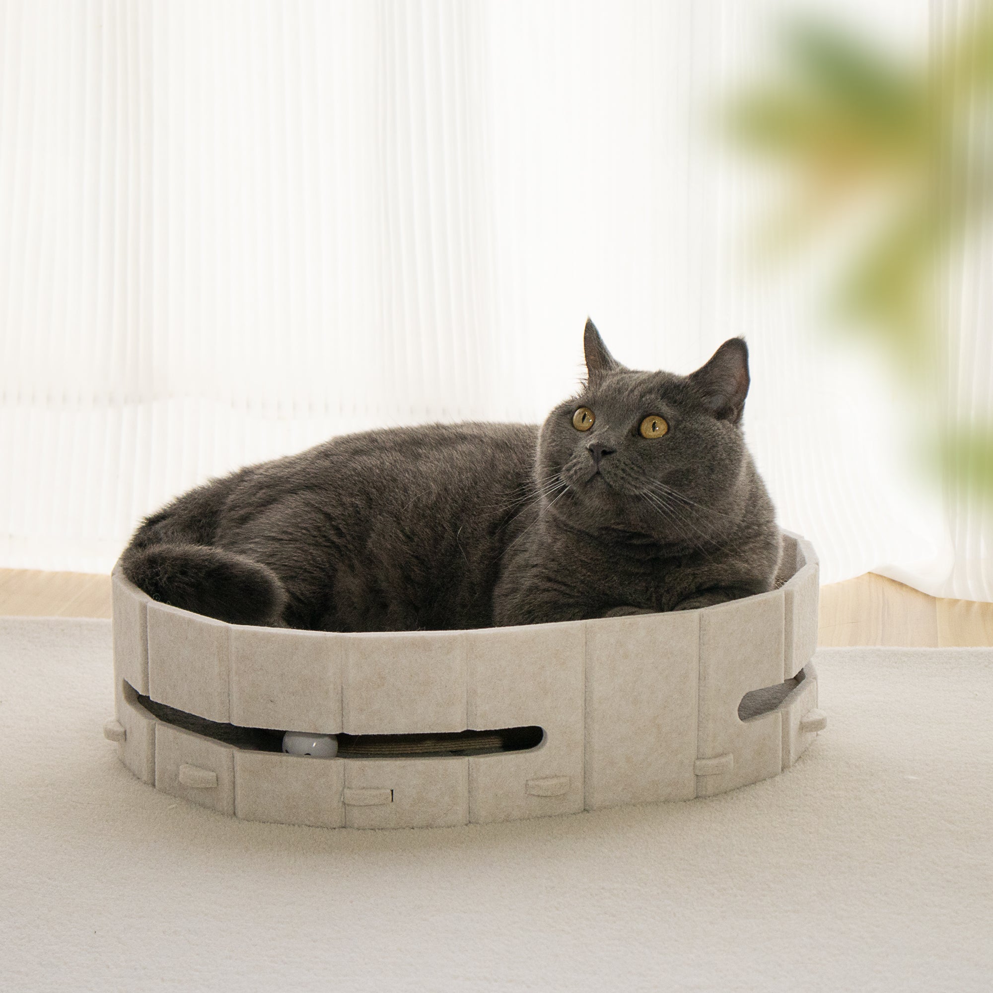 Lyveo SCRAPLI Play Oval - Ovales 3 in 1 Katzen Kratzbett mit Spielball