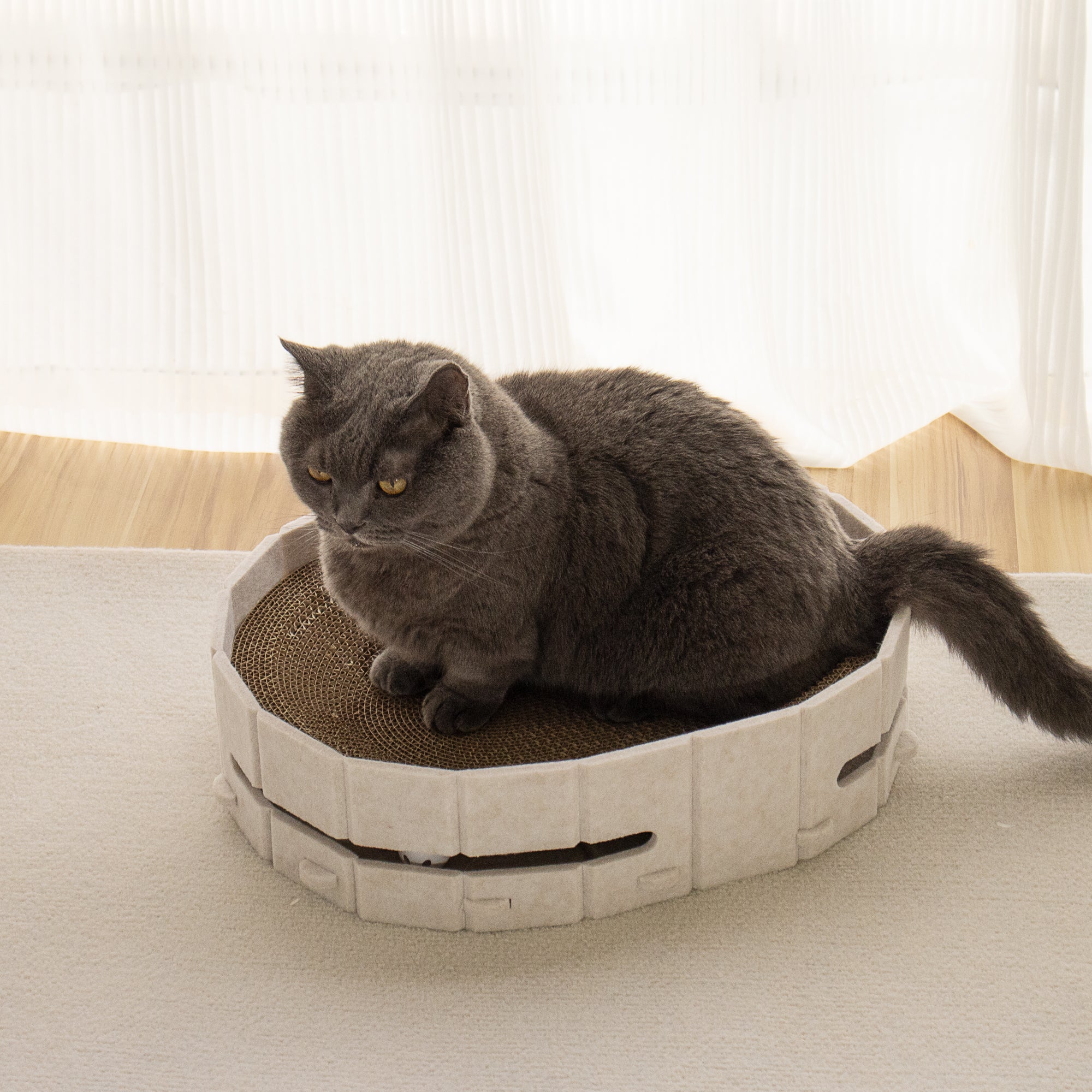 Lyveo SCRAPLI Play Oval - Ovales 3 in 1 Katzen Kratzbett mit Spielball