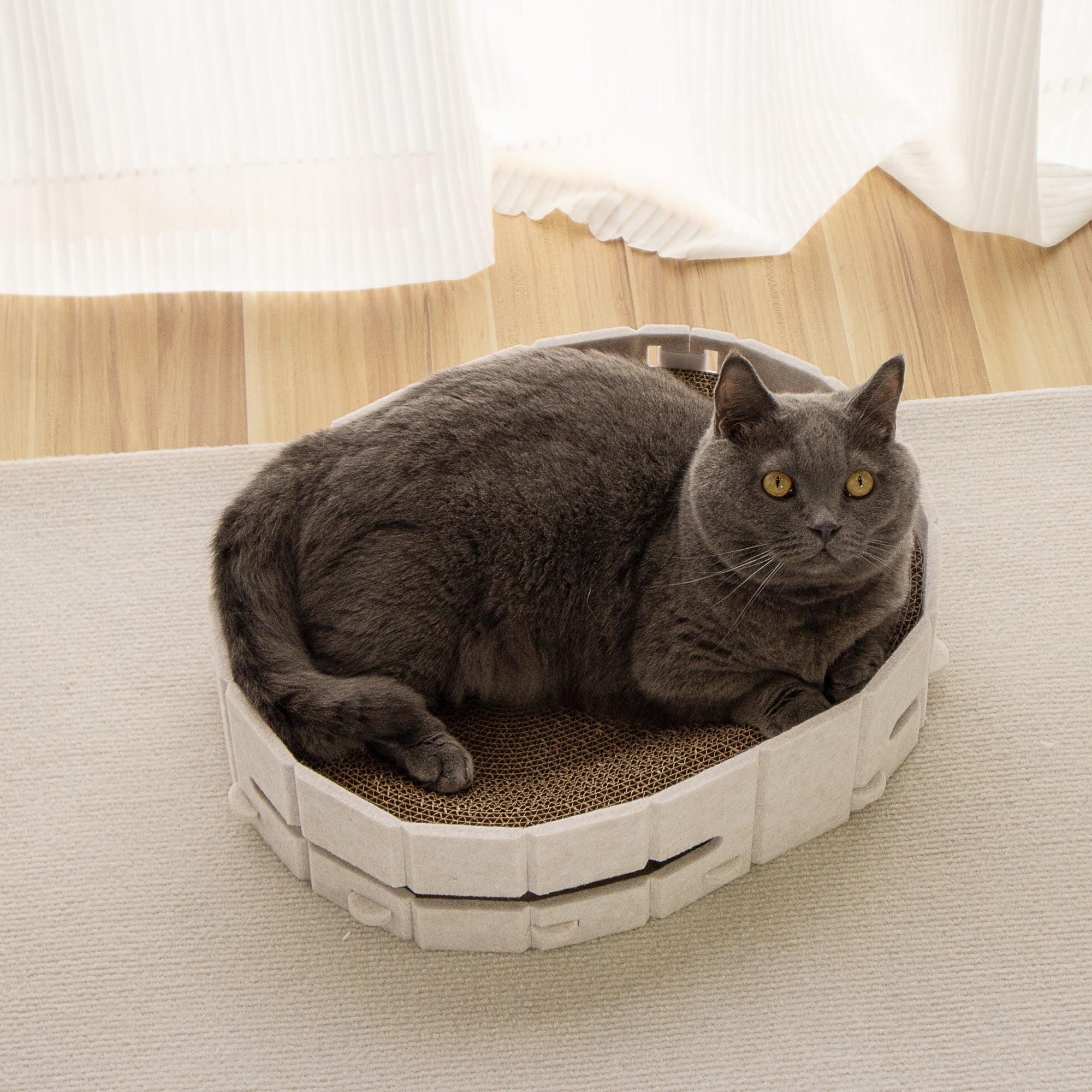 Lyveo SCRAPLI Play Oval - Ovales 3 in 1 Katzen Kratzbett mit Spielball