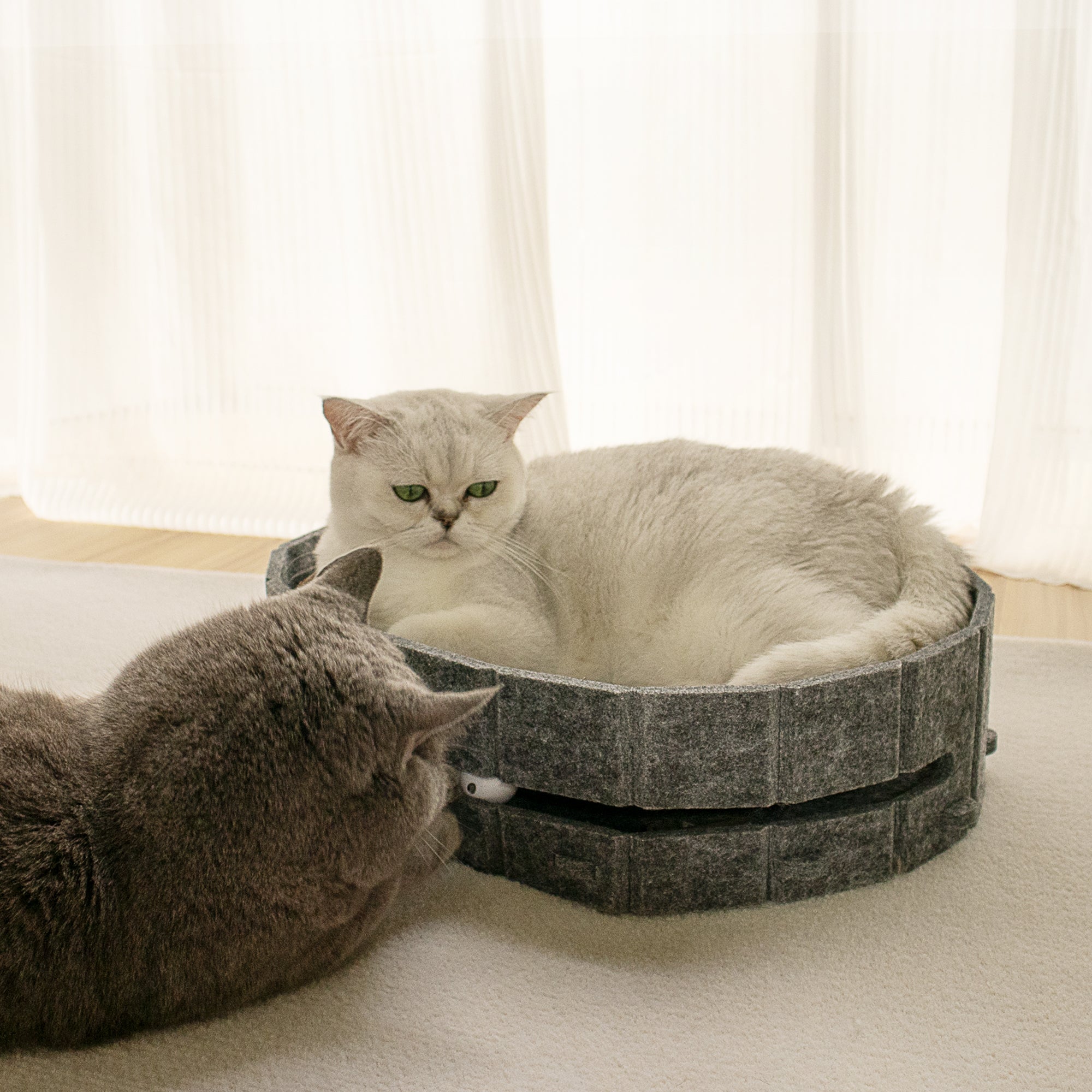 Lyveo SCRAPLI Play Oval - Ovales 3 in 1 Katzen Kratzbett mit Spielball