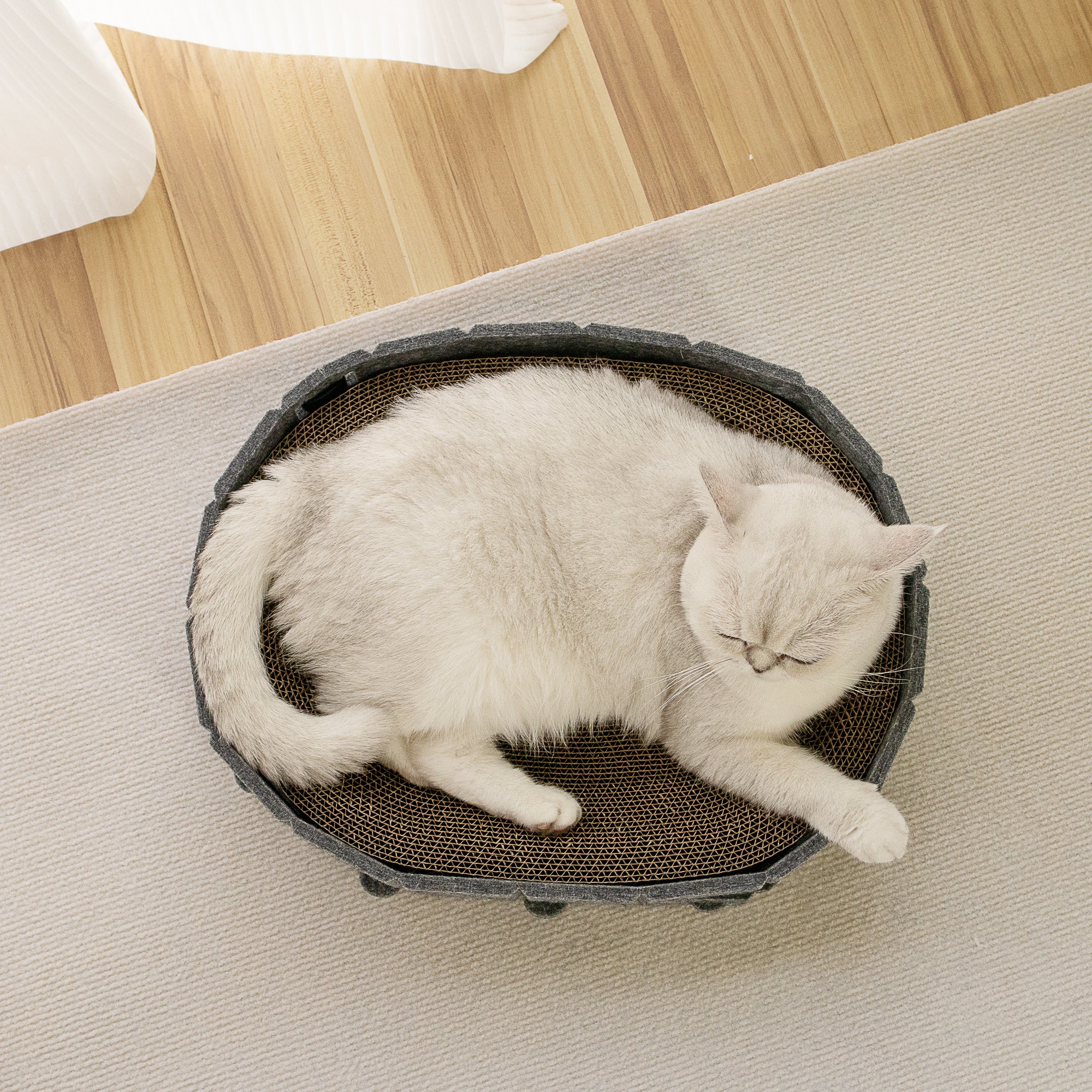 Lyveo SCRAPLI Play Oval - Ovales 3 in 1 Katzen Kratzbett mit Spielball